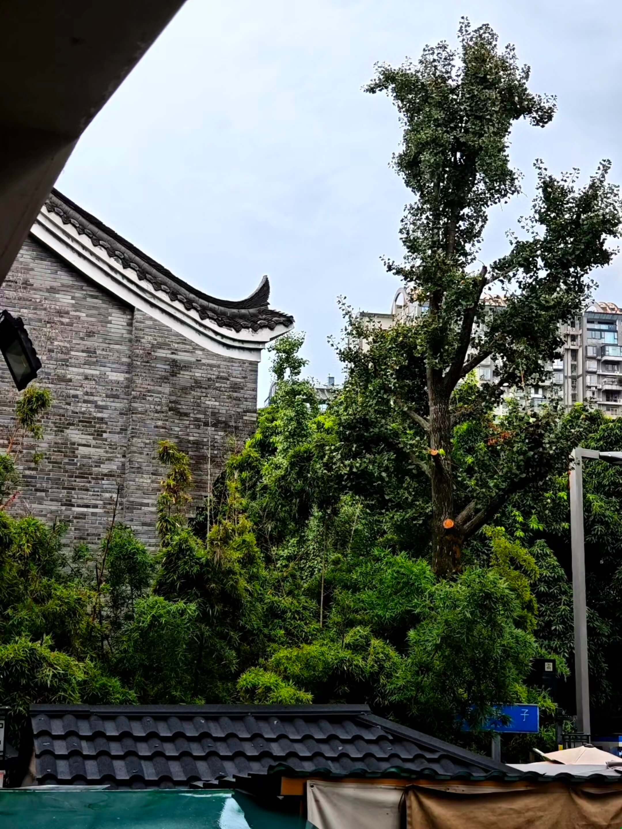 成都街头