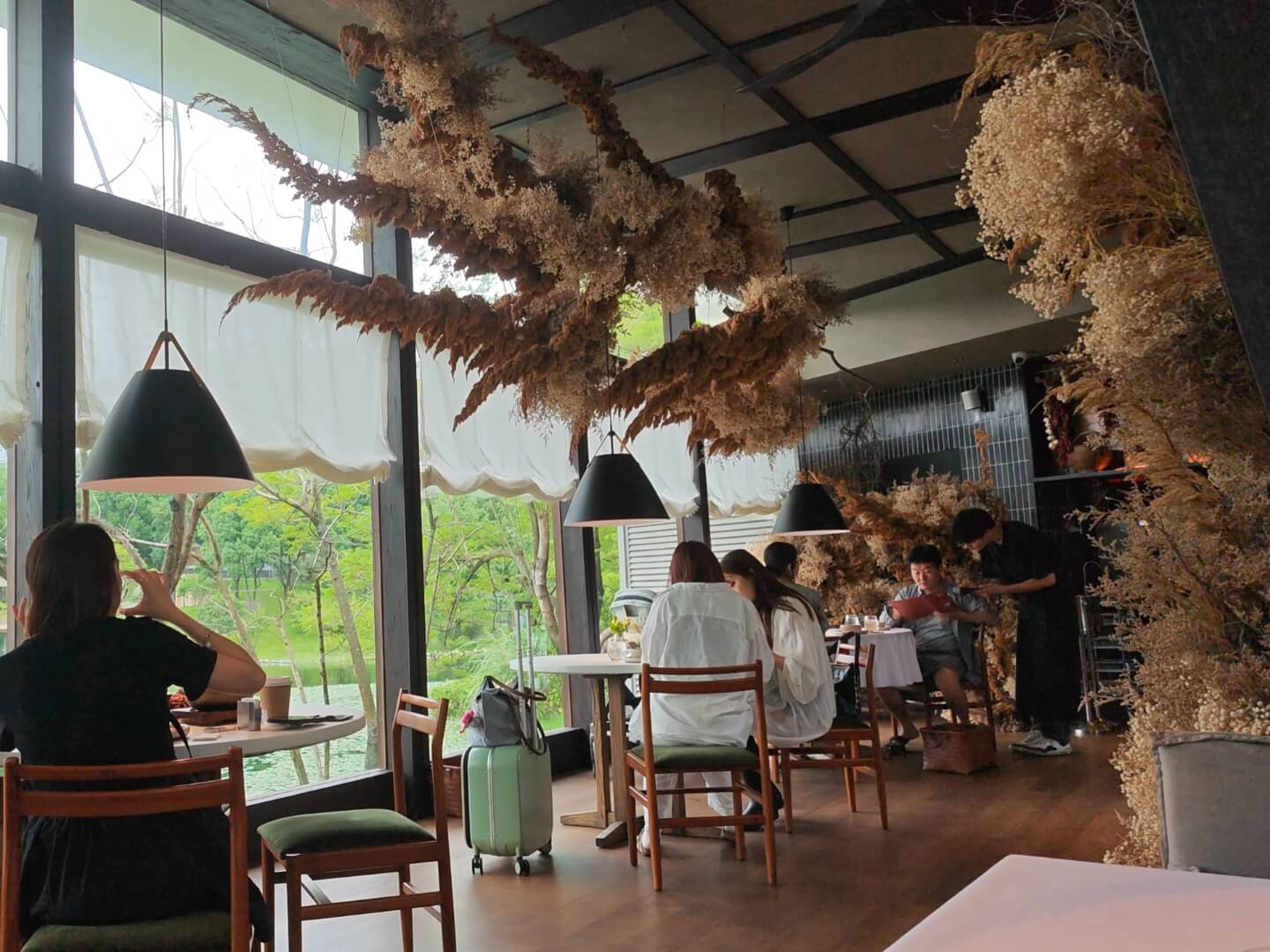 照片 3